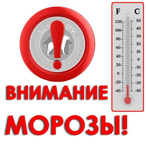 ВНИМАНИЕ- МОРОЗЫ!.